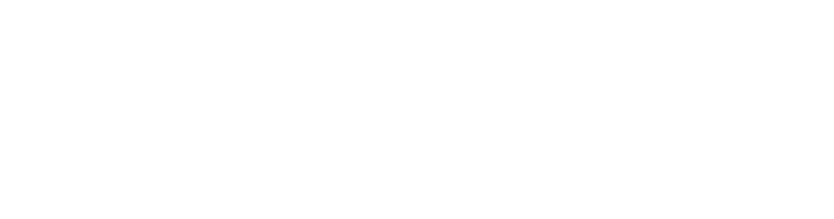BroadBrandSearch