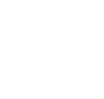 google-premier-partner-white